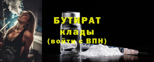 прущие грибы Приозерск