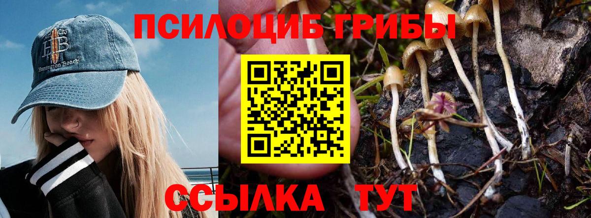 Псилоцибиновые грибы GOLDEN TEACHER  Псилоцибиновые грибы мицелий  Еманжелинск  Вход с VPN 