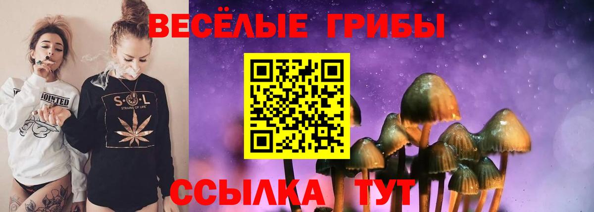 Псилоцибиновые грибы Psilocybe Еманжелинск